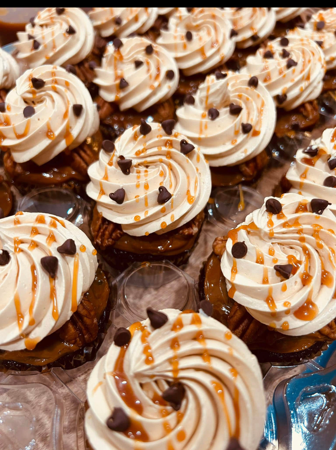 Cupcake Variety 4-Pack